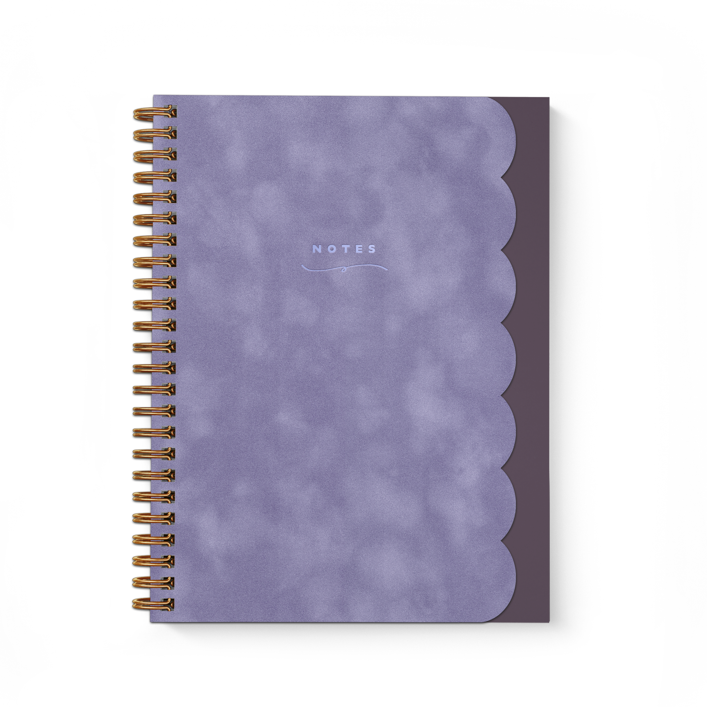 Smitten on Paper Scallop Notebook