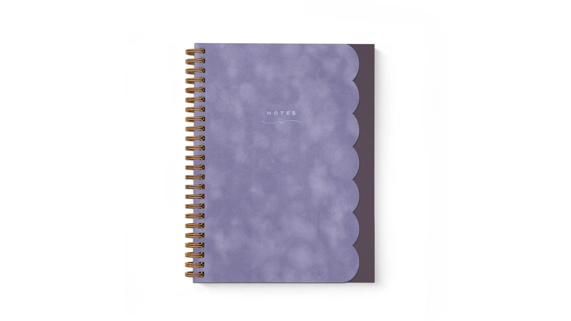 Smitten on Paper Scallop Notebook